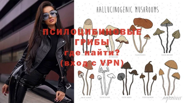2c-b Белоозёрский